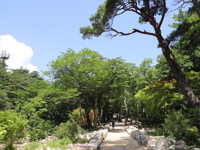 설악산 울산바위에 오르다