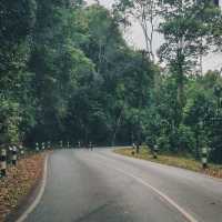 อุทยานแห่งชาติเขาใหญ่ 🌳
