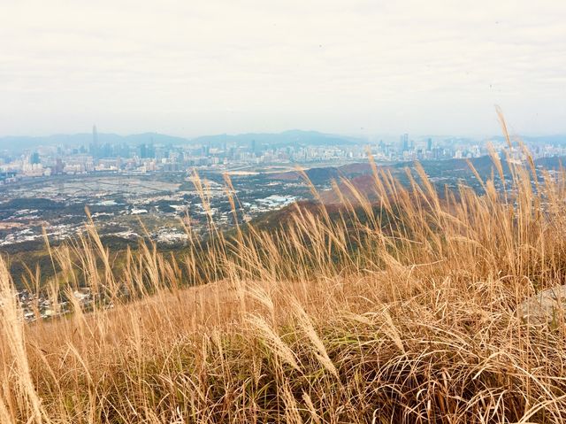 雞公嶺 - 盡覽新界西北靚景