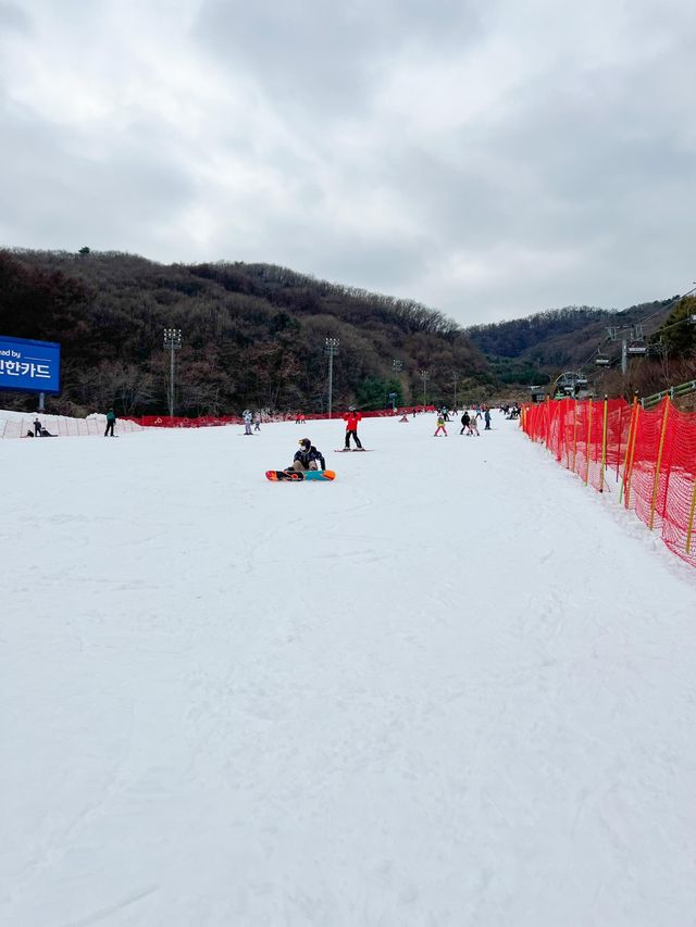 곤지암리조트 스키장 리프트권 겨울스키 즐기기