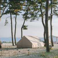 여름엔 자리가 없어서 못 간다는 캠핑장🏕