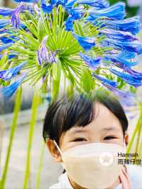走進童話世界