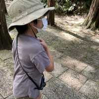 緑あふれる公園SLがあるよ！生田緑地