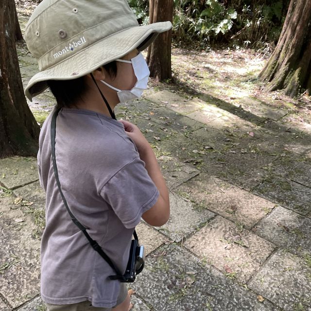 緑あふれる公園SLがあるよ！生田緑地