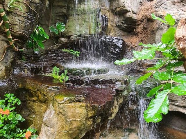 St. Louis Zoo - Flower Spotting