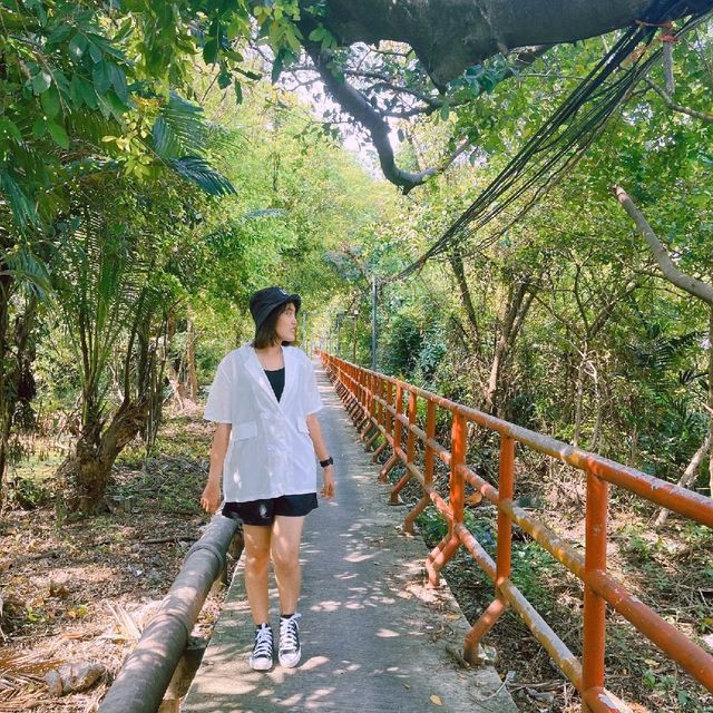 ปั่นจักรยานชมวิวที่บางกระเจ้า
