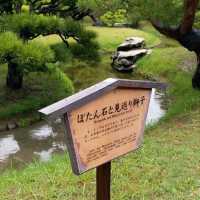 日式庭園美景🌳🌳🌳