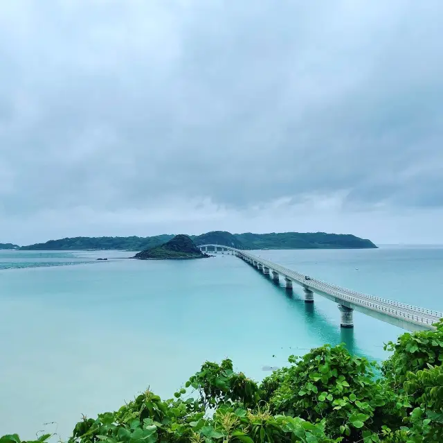 生憎のお天気でしたが