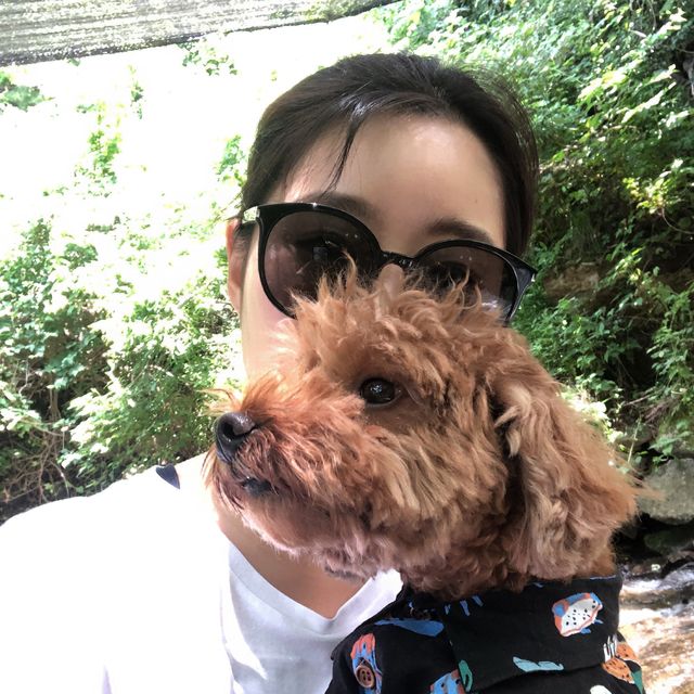 애견 동반 가능한 계곡 평상 백숙집 🐶