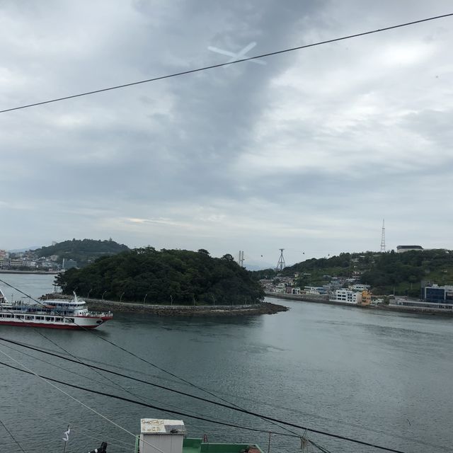 돌산대교를 바라보며 먹을 수 있는 여수 횟집 추천🐟