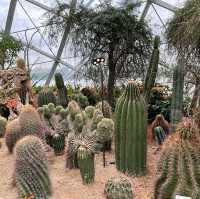 The World Tallest Indoor Waterfall