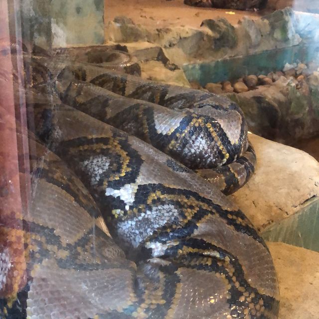 Jong Crocodile Farm - Serian