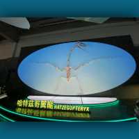 恐龍🦕🦖出沒注意⚠️