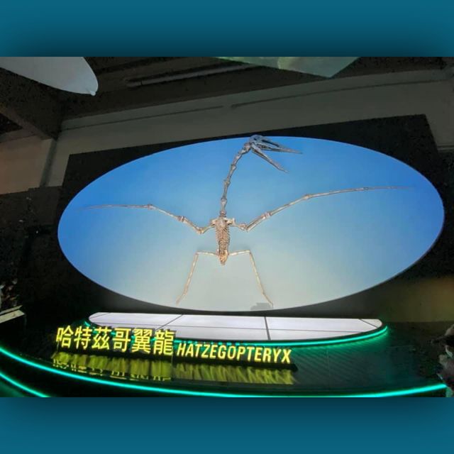 恐龍🦕🦖出沒注意⚠️