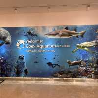 韓国/ソウル【三成】スターフィールドCOEX MALL