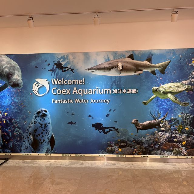 韓国/ソウル【三成】スターフィールドCOEX MALL