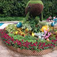 Ocean Park Theme Park