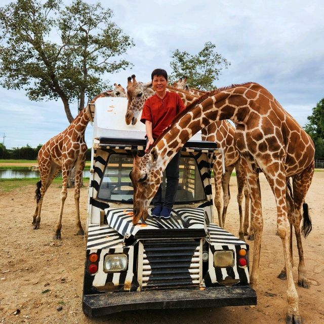 Thailand Safari Kanchanaburi