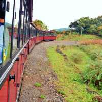 🚂 가을과 어울리는 소풍기차, 에코랜드