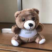 Conrad Centennial Singapore 
