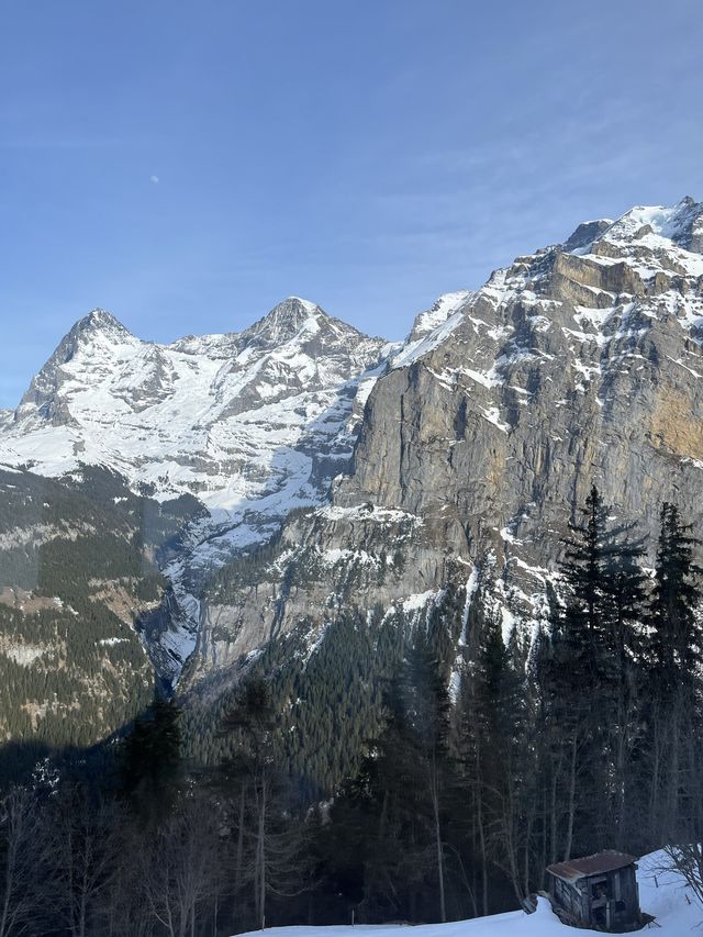 스위스 산맥의 한복판🏔[Murren 뮈렌]