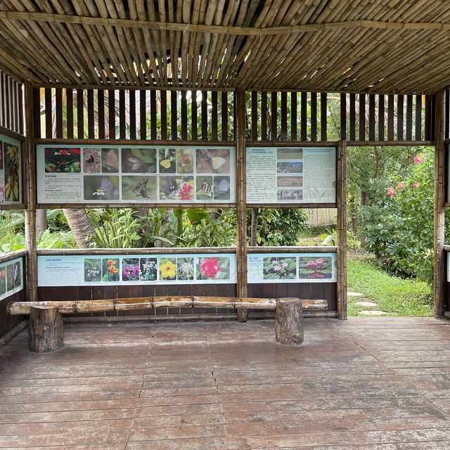 Macau Wetland of  Beach Avenue, Taipa