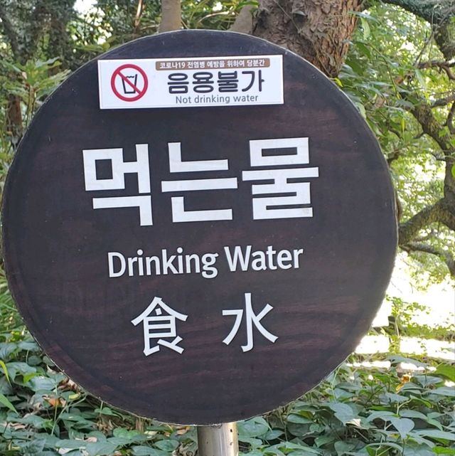 제주도 수학여행 필수코스 천지연폭포를 가보자