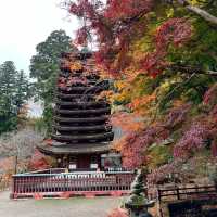 【奈良】歴史ある神社に美しい紅葉