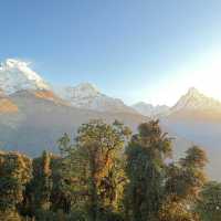 Tadapani…Fishtail view point