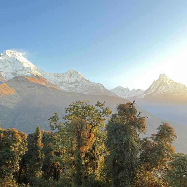 Tadapani…Fishtail view point