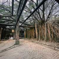 เที่ยวไถหนาน   Anping Tree House