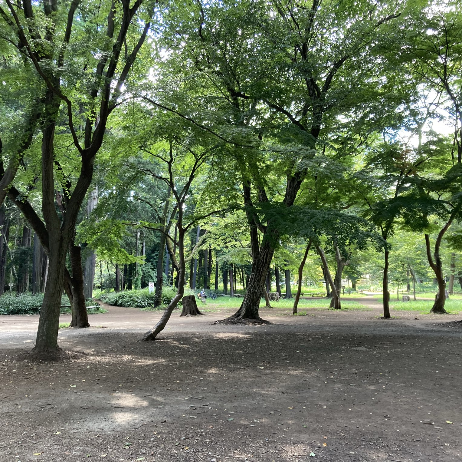 武蔵野市 四季折々の風景が楽しめる 井の頭恩賜公園 Trip Com 東京の旅のブログ