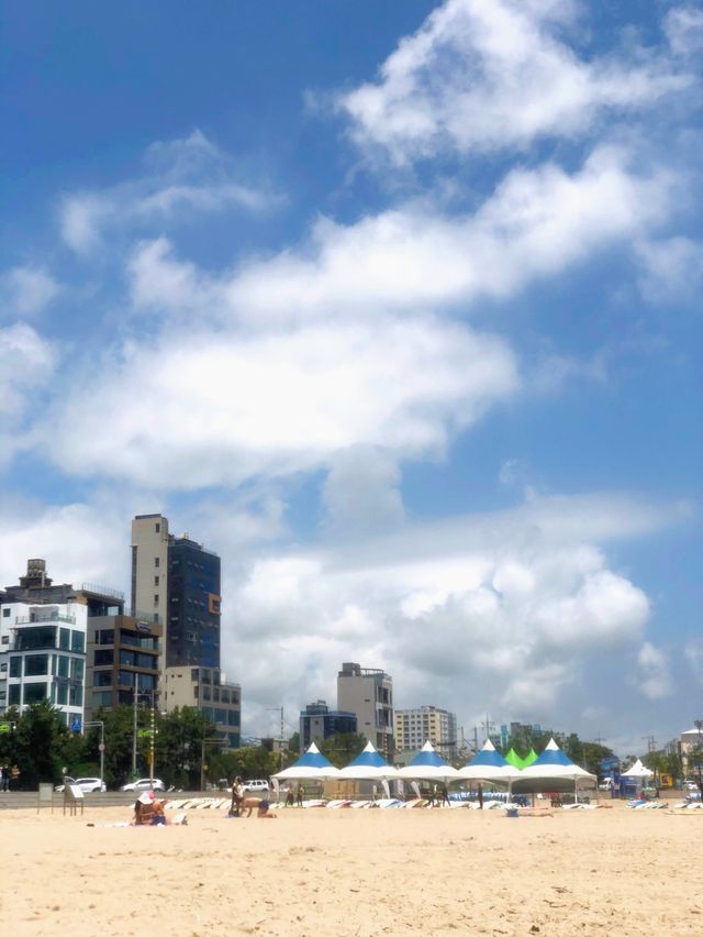 송정은 서핑 ꔛ