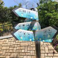 Kowloon Park. 