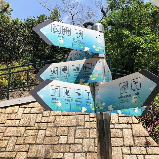 Kowloon Park. 