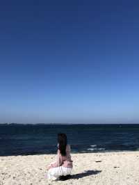 당일치기 우도여행 ⛱