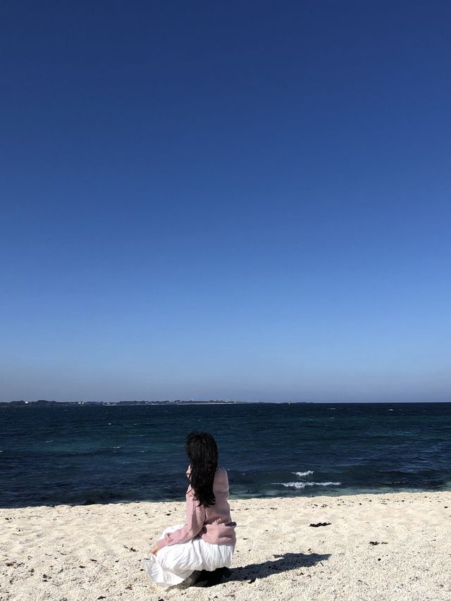 당일치기 우도여행 ⛱