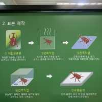 [🇰🇷, 진주] 산림박물관 전시회, ‘수목원 속 작은 친구들’ 🦋