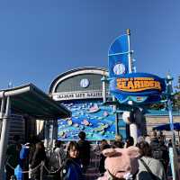【千葉】ディズニーシーに行ってきた！