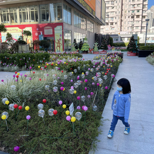 【聖誕及新年好去處：怪誕森林奇遇記】