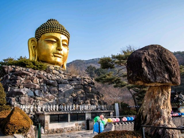 여권없이 떠나는 세계 불교 여행, 용인 '와우정사'