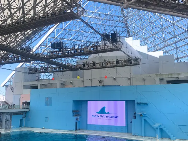 海の動物たちととても距離が近い水族館🐬