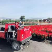 一年四季都能賞花的勝地