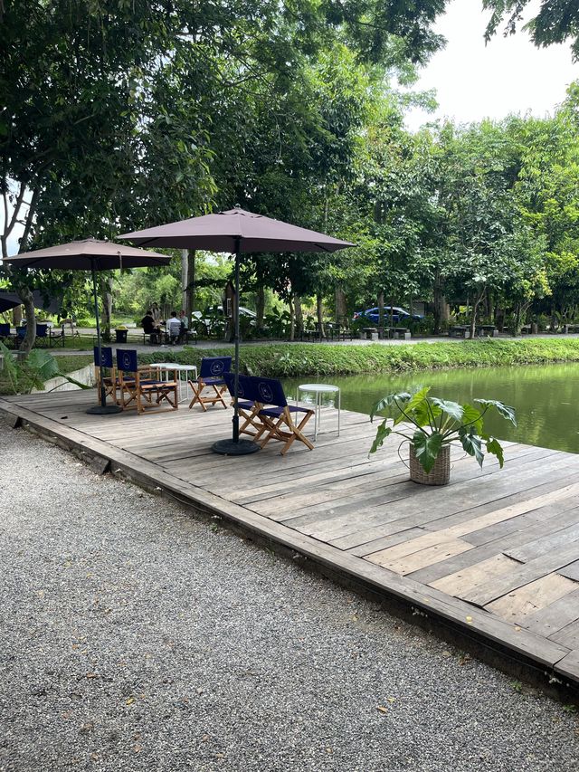 🌱☕️ สวนฉัน คาเฟ่ 🌳🏡