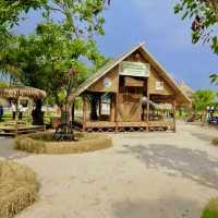นาแม่เฒ่า @ จ.นครศรีธรรมราช