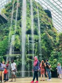 คลาวด์ ฟอเรสต์ (Cloud Forest) สิงคโปร์