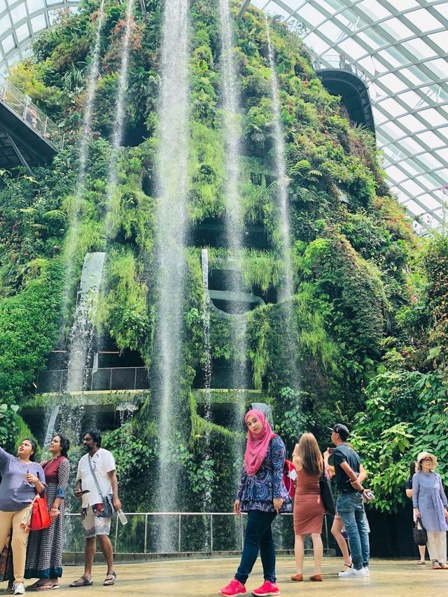 คลาวด์ ฟอเรสต์ (Cloud Forest) สิงคโปร์