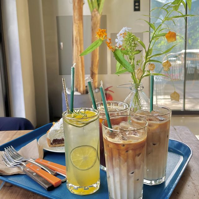 과천에 이런 카페가 있다고!?🌿