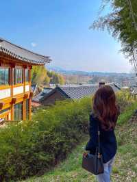 시원하고 청량한 공기 마시러~  담양 “죽녹원”🎋