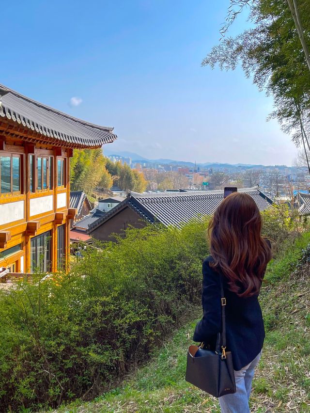 시원하고 청량한 공기 마시러~  담양 “죽녹원”🎋